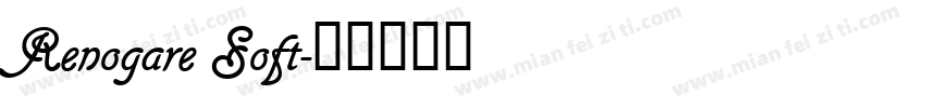 Renogare Soft字体转换